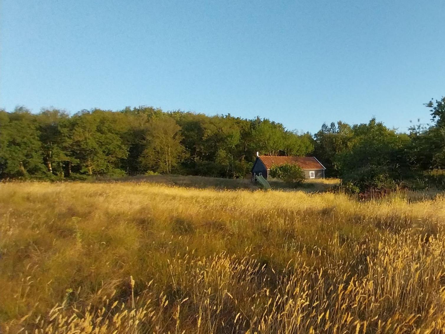 The Kottage Chalet Oostkapelle
